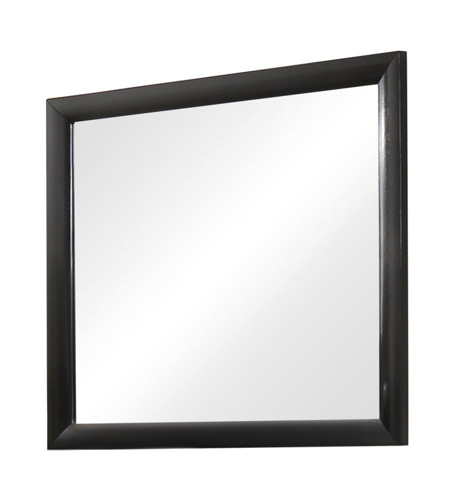 Briana Black Rectangle Dresser Mirror