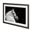 Bridled Beauty by KaCee Erle a Hand Embellished Textured Framed Photo Art Print Matted under Glass by Mercana at Eve Furniture