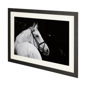 Bridled Beauty by KaCee Erle a Hand Embellished Textured Framed Photo Art Print Matted under Glass by Mercana at Eve Furniture