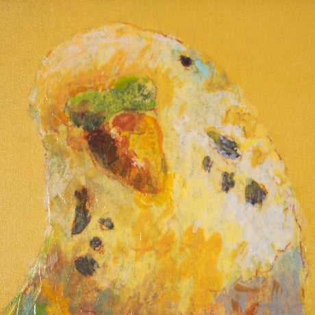Bright Birds I by Roy Woodland a Hand Embellished Textured Framed Art Print by Mercana at Eve Furniture