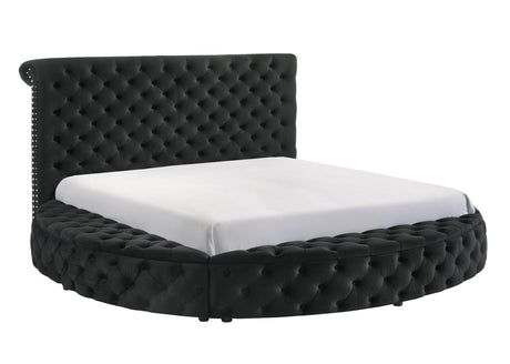 Brigitte Black Queen Upholstered Storage Panel Bed by Crown Mark at Eve Furniture