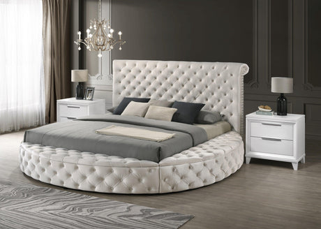 Brigitte Ivory Queen Upholstered Storage Panel Bed by Crown Mark at Eve Furniture