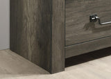 Britonale Rustic Gray Chest by Furniture of America at Eve Furniture