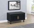 Brixton Black 2-Door Padded Entryway Shoe Storage by Coaster at Eve Furniture
