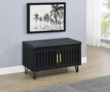 Brixton Black 2-Door Padded Entryway Shoe Storage by Coaster at Eve Furniture