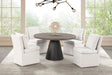Broager White Rustic Oak/Dark Walnut 5-Piece Dining Room Set by Furniture of America at Eve Furniture