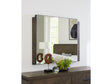 Broderick Dresser Mirror in Wild Oats Brown by Modus Furniture at Eve Furniture