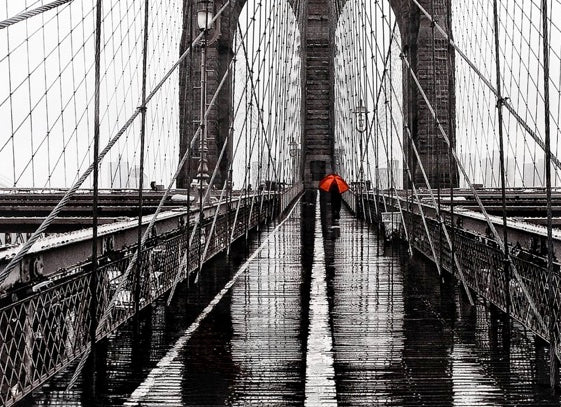 Brooklyn Bridge Wall Decor by Moe's Home at Eve Furniture