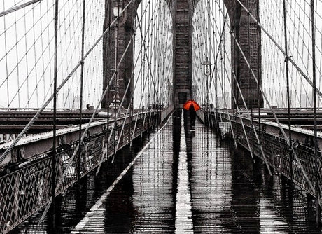 Brooklyn Bridge Wall Decor by Moe's Home at Eve Furniture