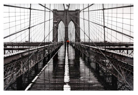 Brooklyn Bridge Wall Decor by Moe's Home at Eve Furniture