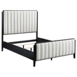 Brookmead Black 60-inch Upholstered Queen Bed by Coaster at Eve Furniture