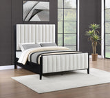 Brookmead Black 60-inch Upholstered Queen Bed by Coaster at Eve Furniture