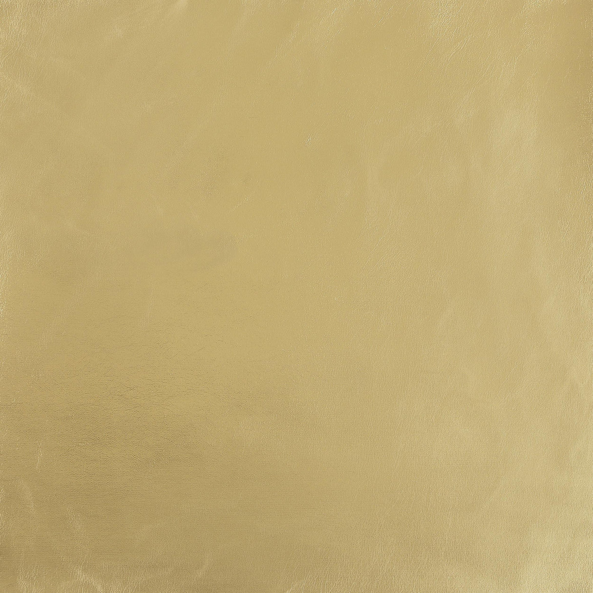 Brookside Dark Gray 2-piece Velvet Upholstered Sofa Set by Coaster at Eve Furniture