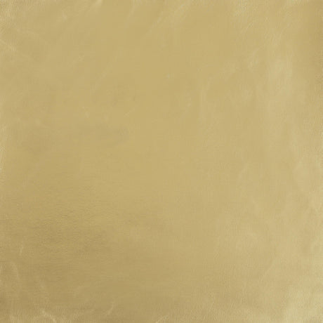 Brookside Dark Gray 2-piece Velvet Upholstered Sofa Set by Coaster at Eve Furniture