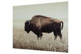 Brutus Sepia Wall Art by Ashley at Eve Furniture