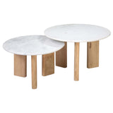 Bryn Coffee Table, Set of 2 by Dovetail at Eve Furniture