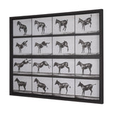 Bucking and Kicking by Eadweard Muybridge Hand Embellished Framed Art Print Matted under Glass by Mercana at Eve Furniture