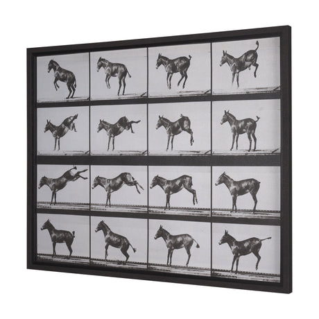 Bucking and Kicking by Eadweard Muybridge Hand Embellished Framed Art Print Matted under Glass by Mercana at Eve Furniture