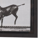 Bucking and Kicking by Eadweard Muybridge Hand Embellished Framed Art Print Matted under Glass by Mercana at Eve Furniture