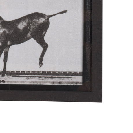 Bucking and Kicking by Eadweard Muybridge Hand Embellished Framed Art Print Matted under Glass by Mercana at Eve Furniture