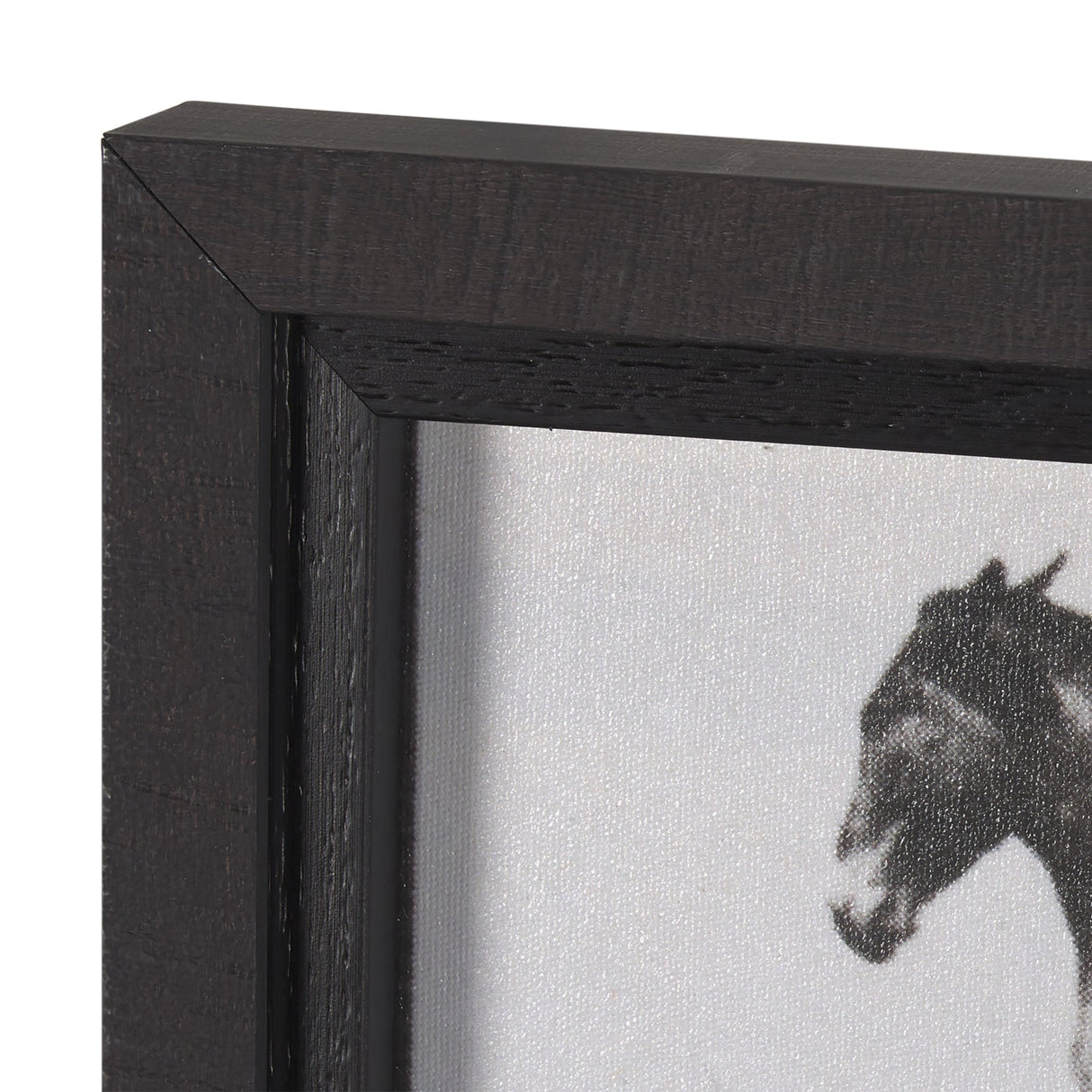 Bucking and Kicking by Eadweard Muybridge Hand Embellished Framed Art Print Matted under Glass by Mercana at Eve Furniture