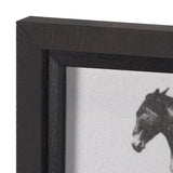 Bucking and Kicking by Eadweard Muybridge Hand Embellished Framed Art Print Matted under Glass by Mercana at Eve Furniture