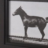 Bucking and Kicking by Eadweard Muybridge Hand Embellished Framed Art Print Matted under Glass by Mercana at Eve Furniture