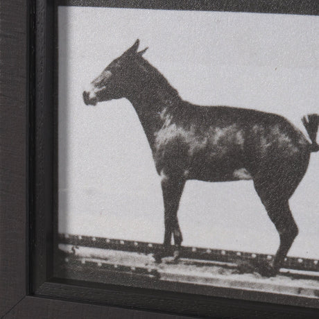 Bucking and Kicking by Eadweard Muybridge Hand Embellished Framed Art Print Matted under Glass by Mercana at Eve Furniture