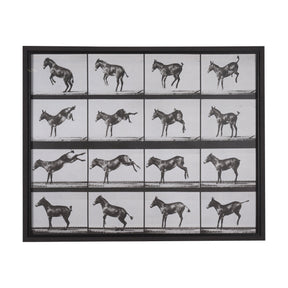 Bucking and Kicking by Eadweard Muybridge Hand Embellished Framed Art Print Matted under Glass by Mercana at Eve Furniture