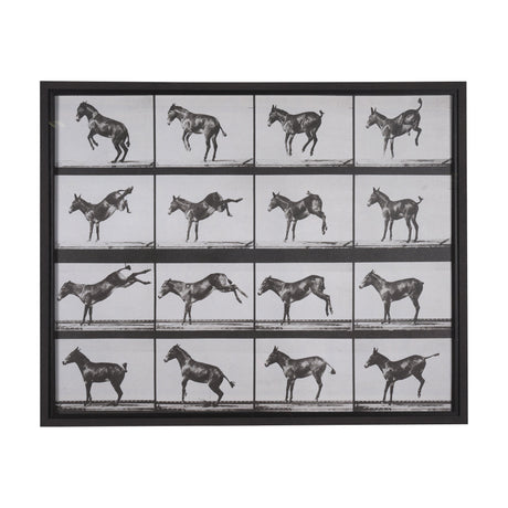 Bucking and Kicking by Eadweard Muybridge Hand Embellished Framed Art Print Matted under Glass by Mercana at Eve Furniture
