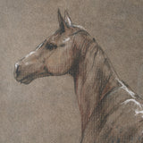 Buckskin Blanket by Mercana Studio a Hand Embellished Textured Framed Art Print by Mercana at Eve Furniture