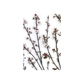 Budding Blossom by Frank Assaf a Hand Embellished Textured Canvas by Mercana at Eve Furniture