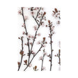 Budding Blossom by Frank Assaf a Hand Embellished Textured Canvas by Mercana at Eve Furniture