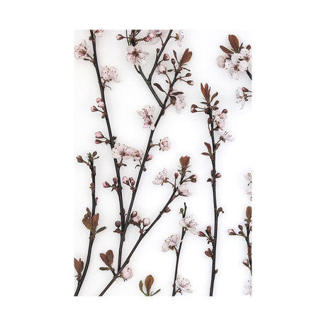 Budding Blossom by Frank Assaf a Hand Embellished Textured Canvas by Mercana at Eve Furniture