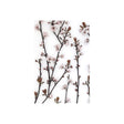 Budding Blossom by Frank Assaf a Hand Embellished Textured Canvas by Mercana at Eve Furniture