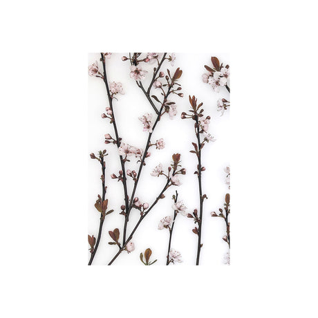 Budding Blossom by Frank Assaf a Hand Embellished Textured Canvas by Mercana at Eve Furniture