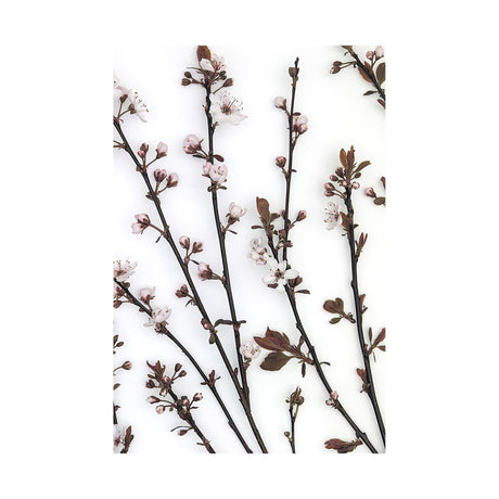 Budding Blossom by Frank Assaf a Hand Embellished Textured Canvas by Mercana at Eve Furniture