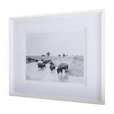 Buffalo Brook by Mercana Studio a Hand Embellished Textured Framed Art Photograph Matted under Glass by Mercana at Eve Furniture