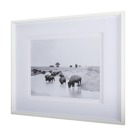 Buffalo Brook by Mercana Studio a Hand Embellished Textured Framed Art Photograph Matted under Glass by Mercana at Eve Furniture