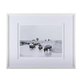 Buffalo Brook by Mercana Studio a Hand Embellished Textured Framed Art Photograph Matted under Glass by Mercana at Eve Furniture
