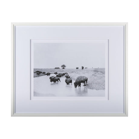 Buffalo Brook by Mercana Studio a Hand Embellished Textured Framed Art Photograph Matted under Glass by Mercana at Eve Furniture