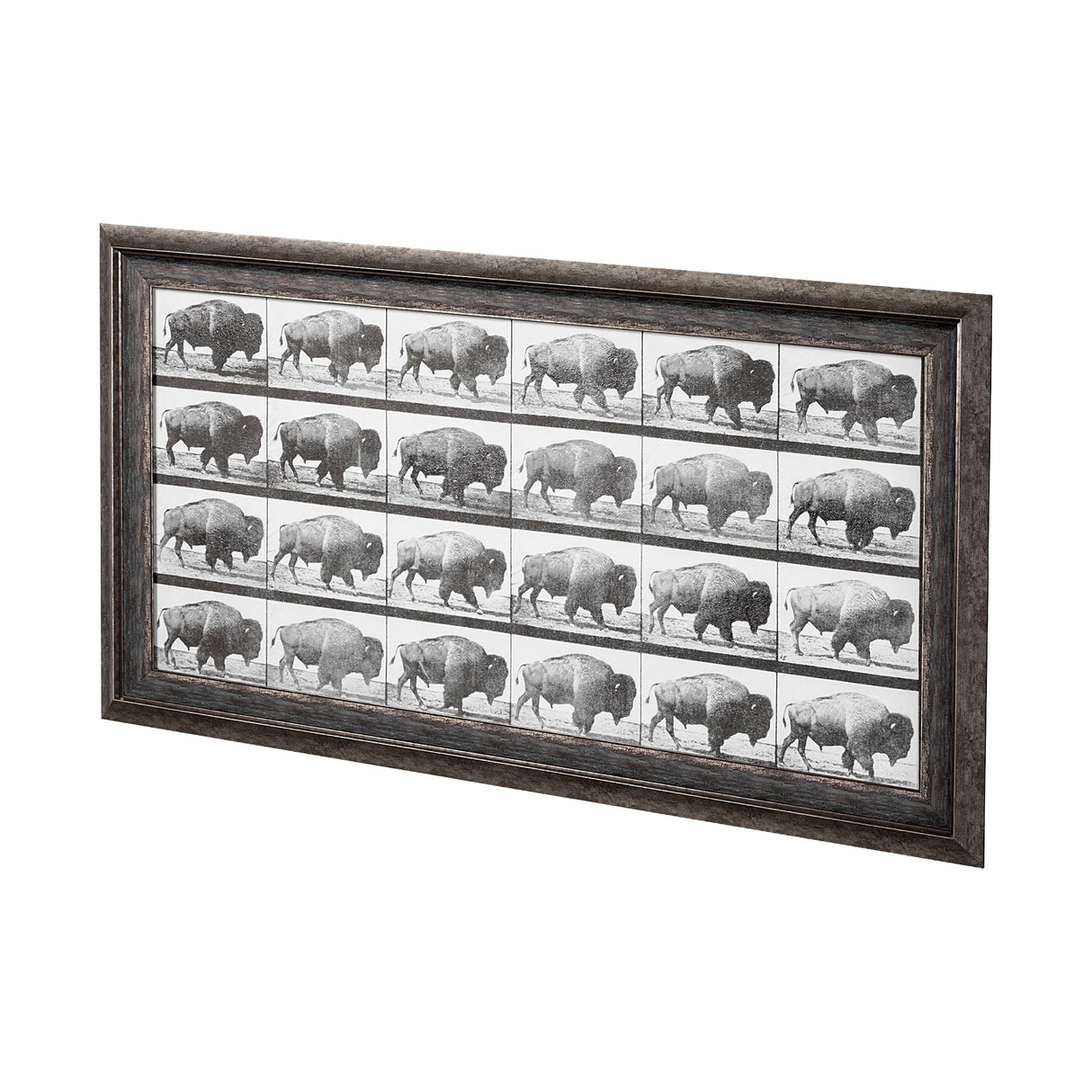Buffalo Walking by Eadweard Muybridge Hand Embellished Textured Framed Art Print Matted under Glass by Mercana at Eve Furniture