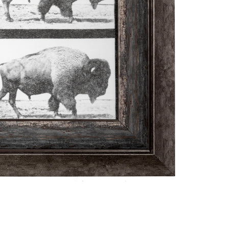 Buffalo Walking by Eadweard Muybridge Hand Embellished Textured Framed Art Print Matted under Glass by Mercana at Eve Furniture