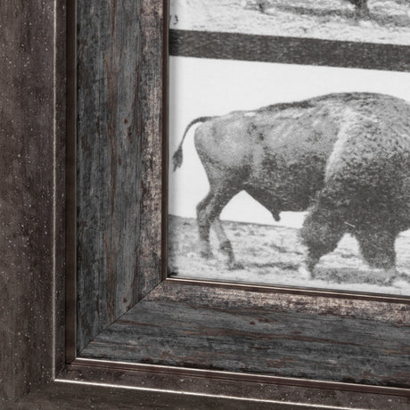 Buffalo Walking by Eadweard Muybridge Hand Embellished Textured Framed Art Print Matted under Glass by Mercana at Eve Furniture