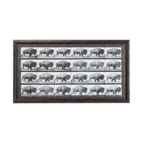 Buffalo Walking by Eadweard Muybridge Hand Embellished Textured Framed Art Print Matted under Glass by Mercana at Eve Furniture