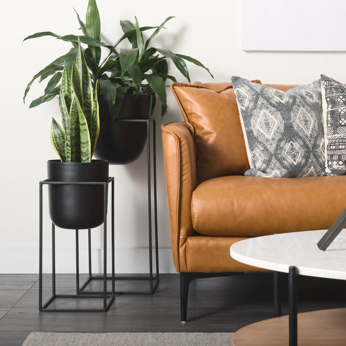 Bumble (Set of 2) 12L x 12W x 32H Black Plant Stands by Mercana at Eve Furniture