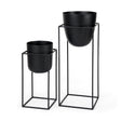 Bumble (Set of 2) 12L x 12W x 32H Black Plant Stands by Mercana at Eve Furniture