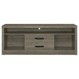 Burke 2-Drawer TV Console Gray Driftwood