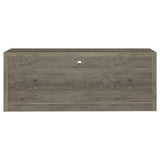 Burke 2-Drawer TV Console Gray Driftwood