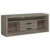 Burke Gray Driftwood 2-Drawer TV Console by Coaster at Eve Furniture